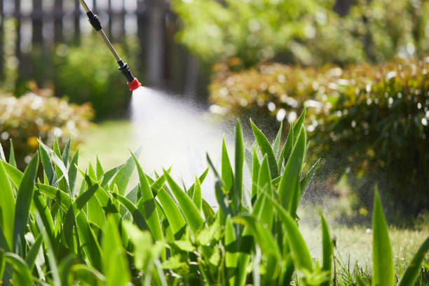 24/7 Emergency Mosquito Control experts in Brainerd, MN