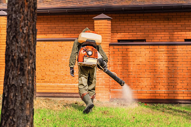 Top rated local Mosquito Control specialists in Brainerd, MN